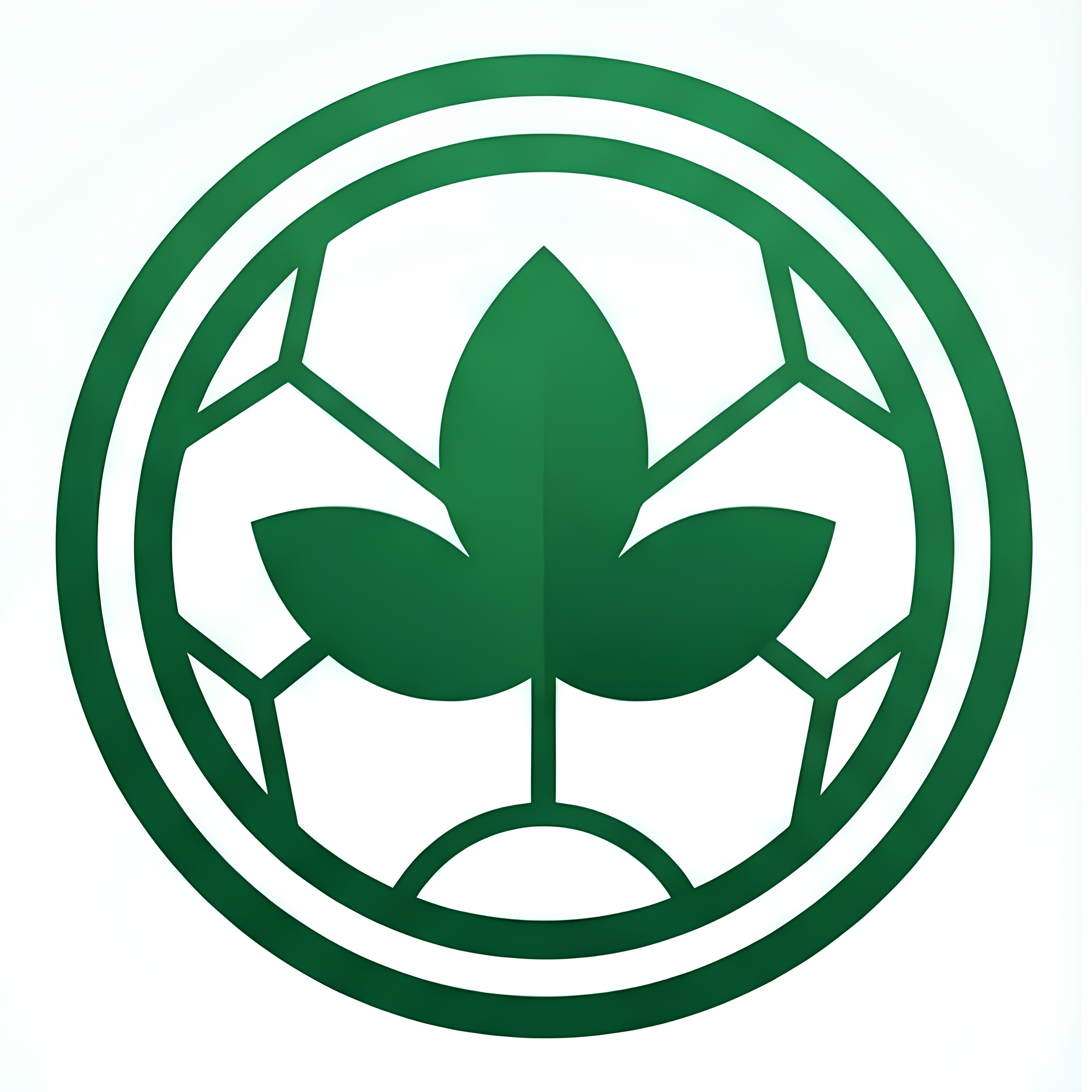 Đối Sân 7